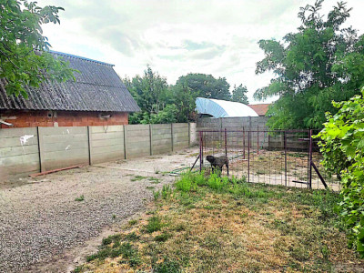  Casa individuala cu 4 camere de vanzare in Com. Kunagota- Oras Bekes, Ungaria imagine mica 11, foxfort.ro