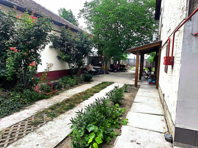 Casa individuala cu 4 camere de vanzare in Com. Kunagota- Oras Bekes, Ungaria imagine mica 23, foxfort.ro