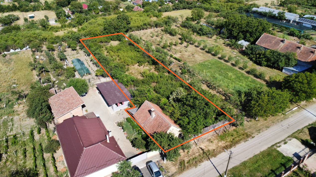 Teren intravilan 1519 mp, in Murani, com Pischia 3, foxfort.ro
