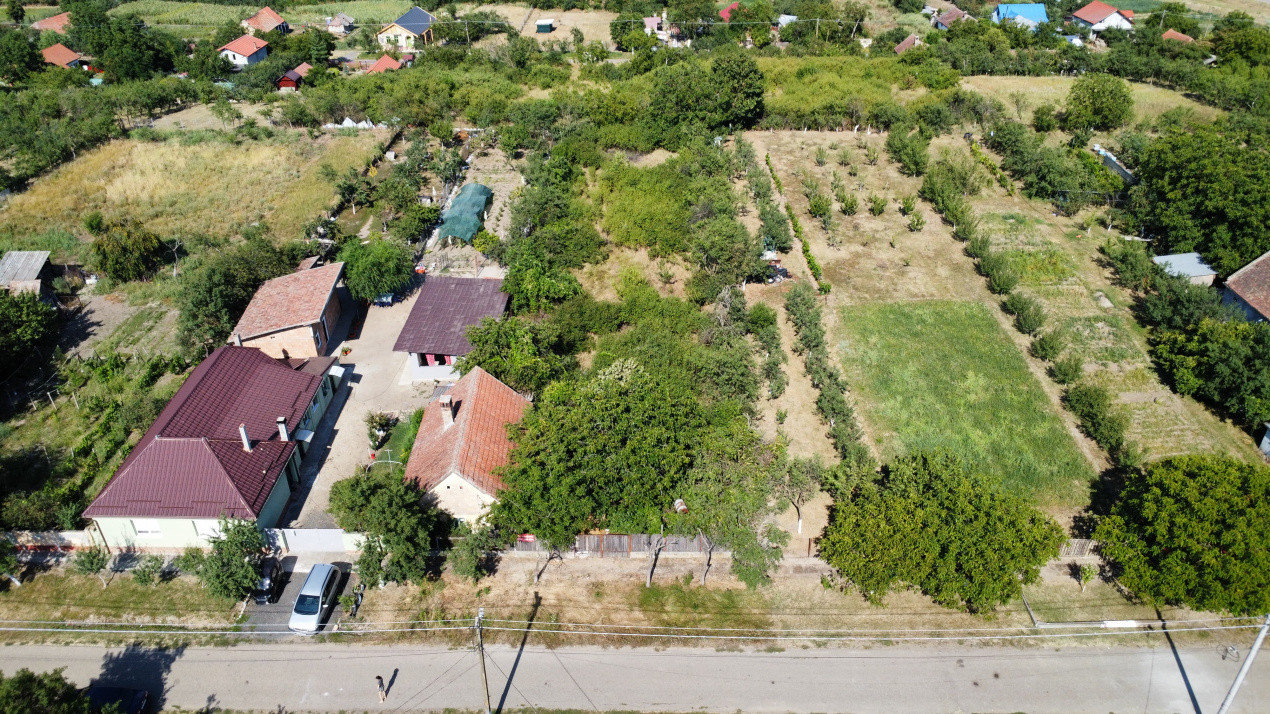 Teren intravilan 1519 mp, in Murani, com Pischia 6, foxfort.ro