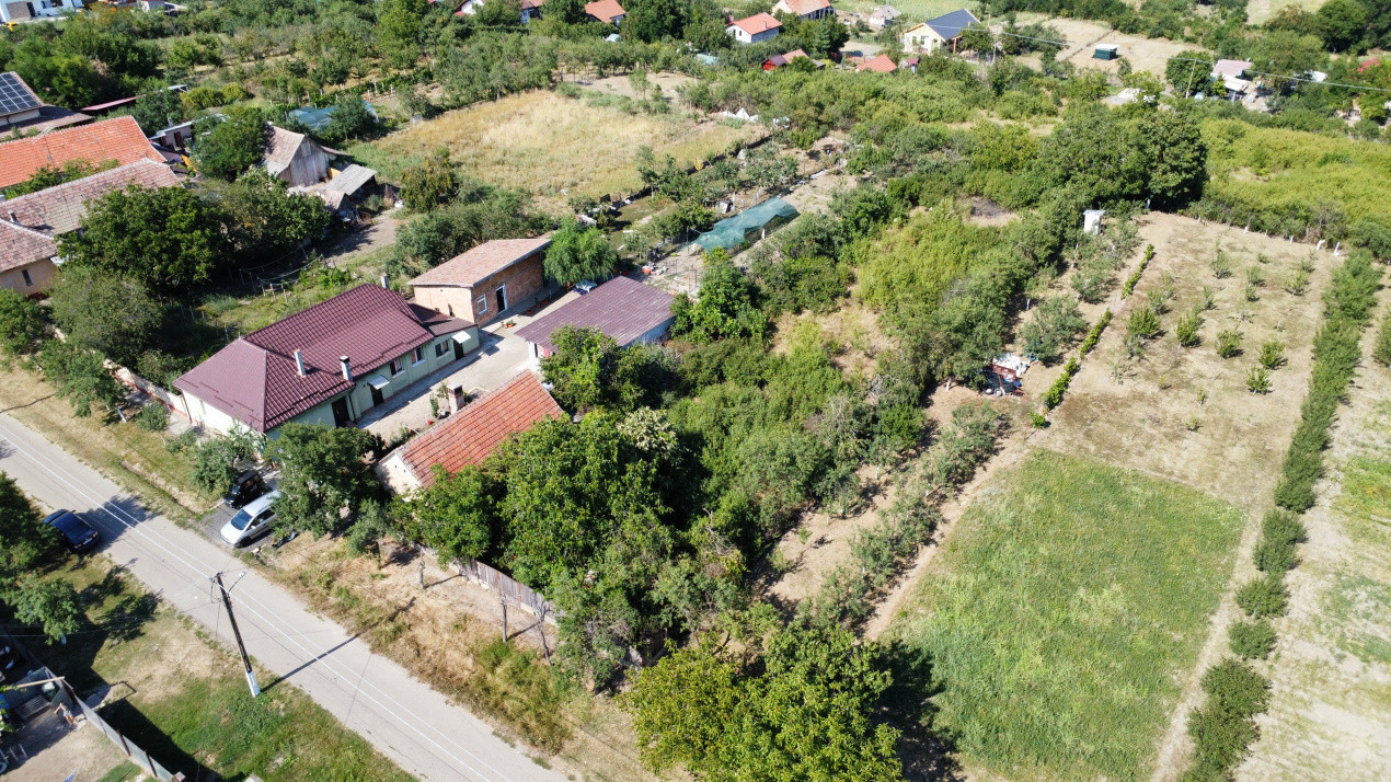 Teren intravilan 1519 mp, in Murani, com Pischia 8, foxfort.ro