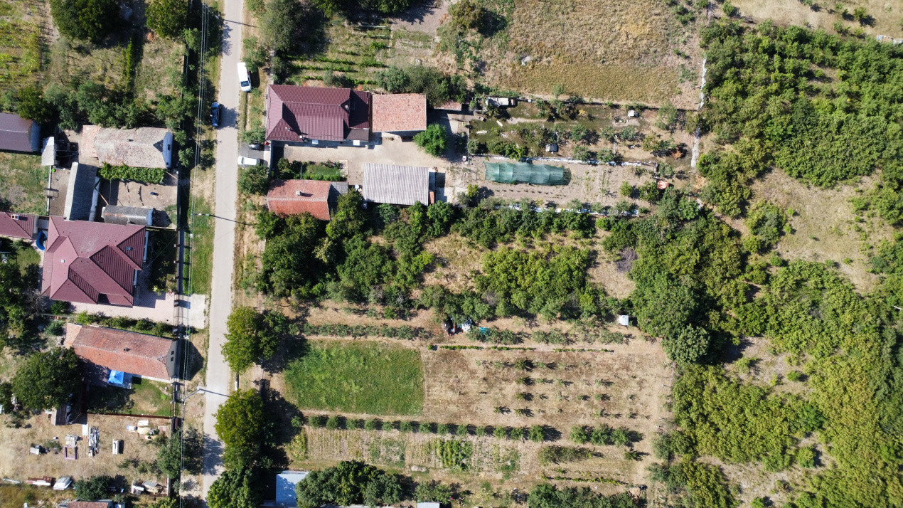 Teren intravilan 1519 mp, in Murani, com Pischia 9, foxfort.ro