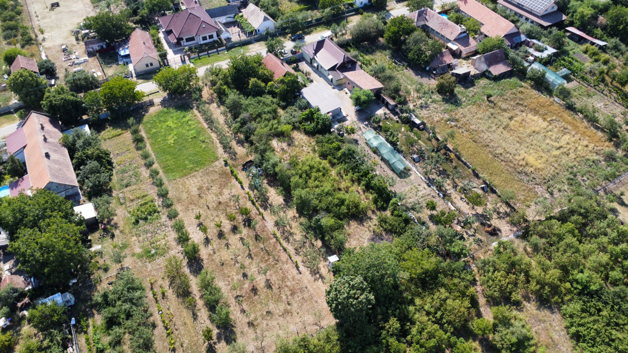 Teren intravilan 1519 mp, in Murani, com Pischia 10, foxfort.ro