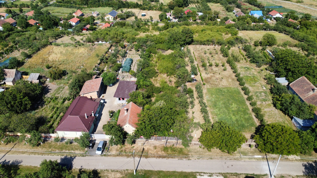 Teren intravilan 1519 mp, in Murani, com Pischia 13, foxfort.ro