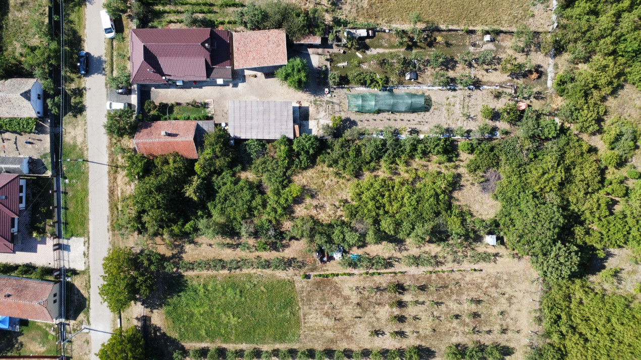 Teren intravilan 1519 mp, in Murani, com Pischia 15, foxfort.ro