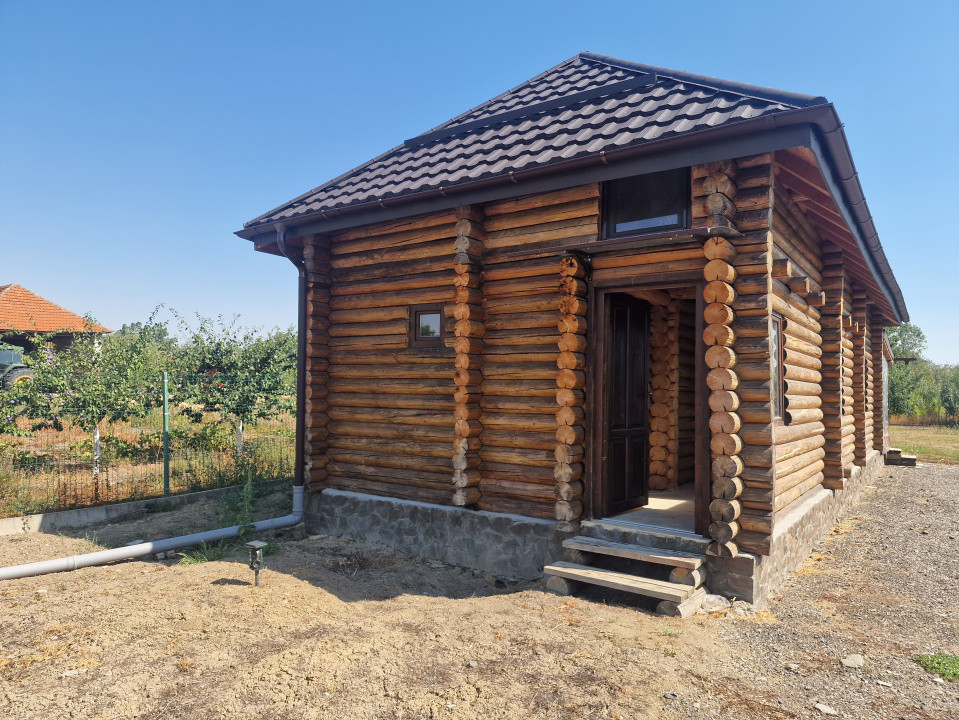 Casa de vacanta in Icloda, langa Balta de pescuit Sportiv Icloda family  9, foxfort.ro