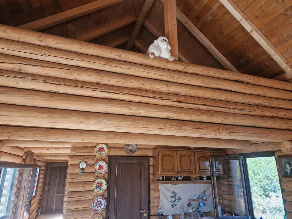 Casa de vacanta in Icloda, langa Balta de pescuit Sportiv Icloda family  15, foxfort.ro