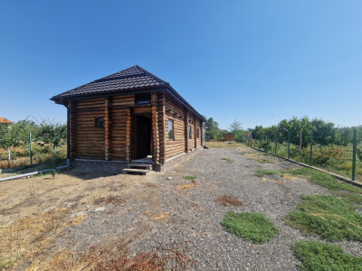 Casa de vacanta in Icloda, langa Balta de pescuit Sportiv Icloda family 