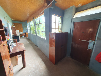 Casa individuala 4 camere si teren 2208 mp in Folea, comuna Voiteg imagine mica 27, foxfort.ro