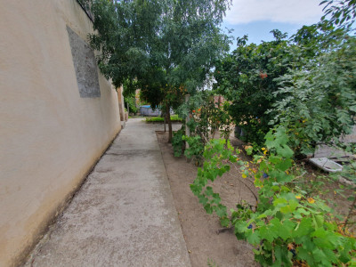 Casa individuala 4 camere si teren 2208 mp in Folea, comuna Voiteg imagine mica 35, foxfort.ro