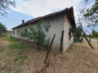 Casa individuala 4 camere si teren 2208 mp in Folea, comuna Voiteg imagine mica 37, foxfort.ro