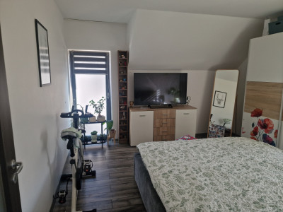 Casa individuala cocheta la vanzare in Mosnita Veche imagine mica 5, foxfort.ro