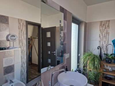 Casa individuala cocheta la vanzare in Mosnita Veche imagine mica 6, foxfort.ro