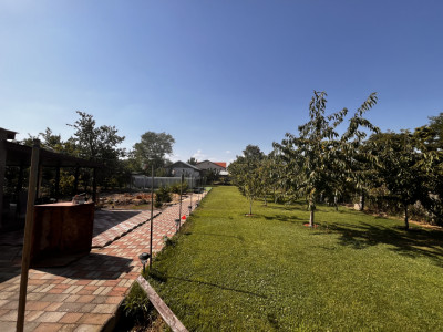 Casa individuala cu 6 camere de vanzare, zona Freidorf imagine mica 5, foxfort.ro