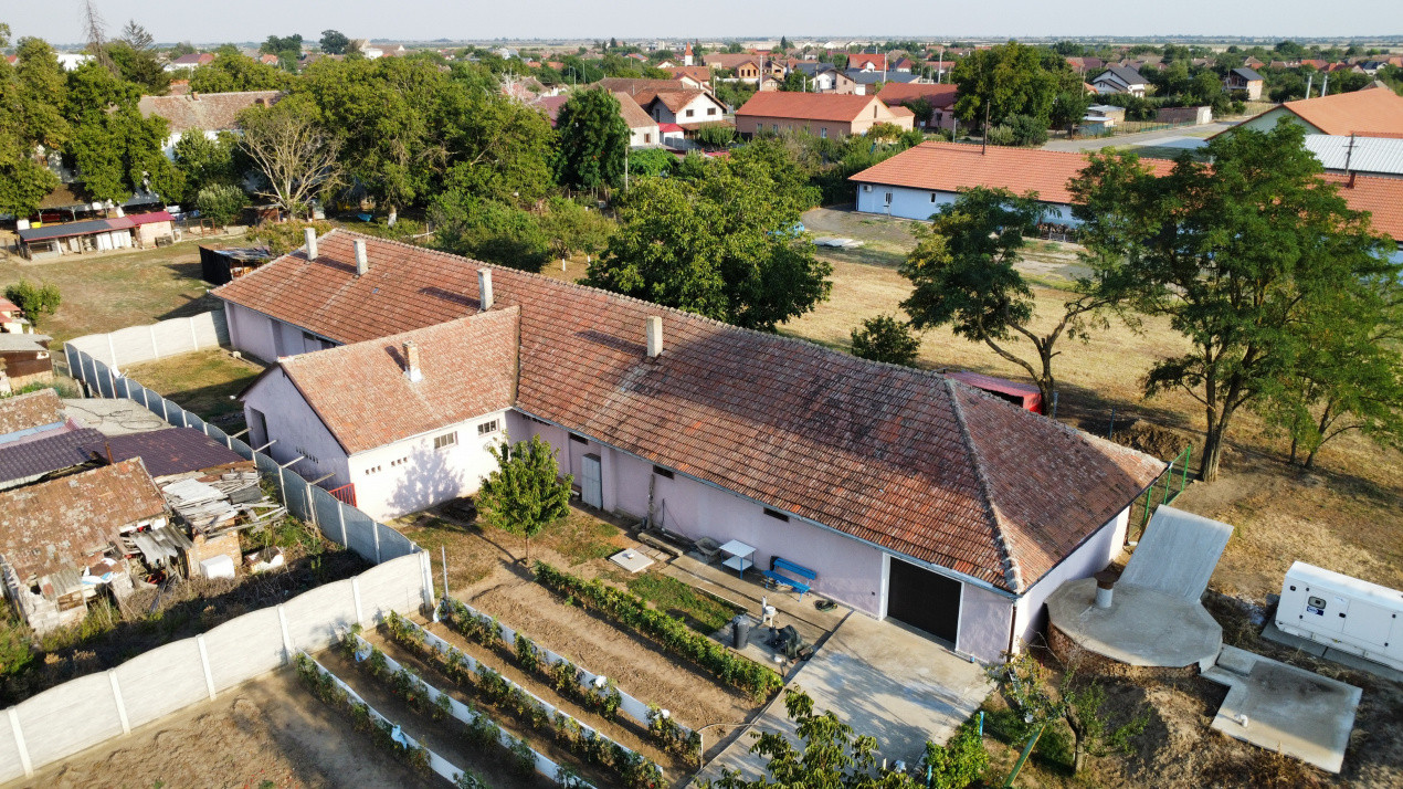Spatiu de productie, 10 incaperi, 382 mp utili, 1800 mp teren, Peciu Nou 9, foxfort.ro