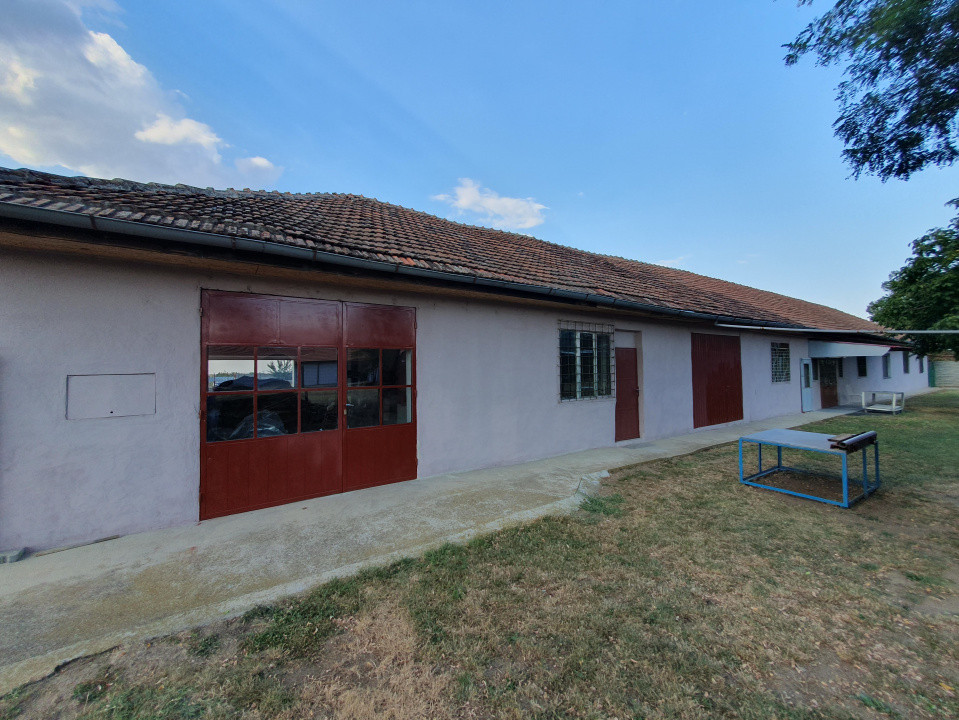 Spatiu de productie, 10 incaperi, 382 mp utili, 1800 mp teren, Peciu Nou 12, foxfort.ro