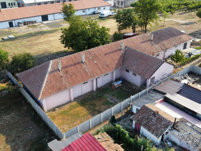 Spatiu de productie, 10 incaperi, 382 mp utili, 1800 mp teren, Peciu Nou imagine mica 10, foxfort.ro