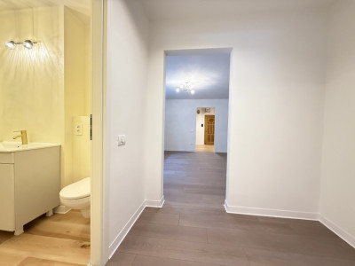 Apartament cu 2 camere | Parter | Renovat complet | Zona Gheorghe Lazar imagine mica 7, foxfort.ro
