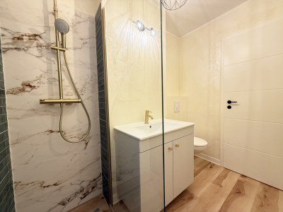 Apartament cu 2 camere | Parter | Renovat complet | Zona Gheorghe Lazar imagine mica 35, foxfort.ro