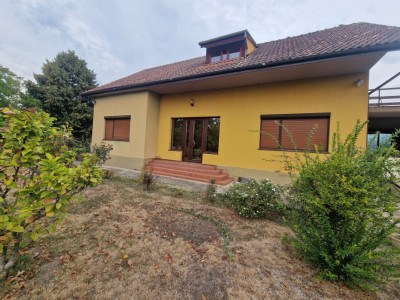 Casa individuala cocheta, Bazosul Nou