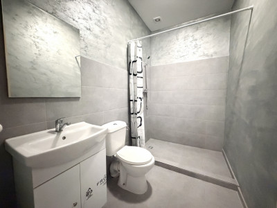 OPORTUNITATE INVESTITIE - 21 camere - Capacitate 93 de persoane - Dumbravita imagine mica 4, foxfort.ro