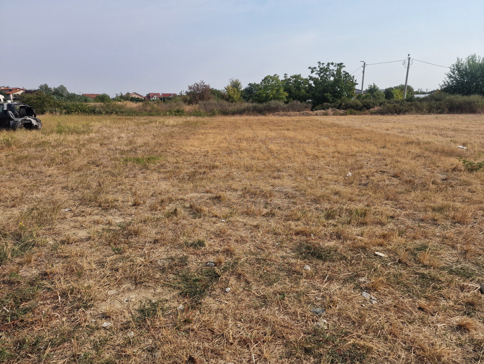Teren intravilan de 669 mp in Mosnita Veche 1, foxfort.ro
