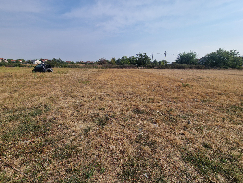 Teren intravilan de 669 mp in Mosnita Veche 2, foxfort.ro