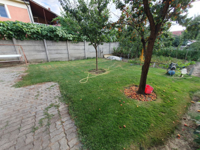 Casa de inchiriat 5 camere, ideal pentru birouri, zona Brancoveanu imagine mica 34, foxfort.ro
