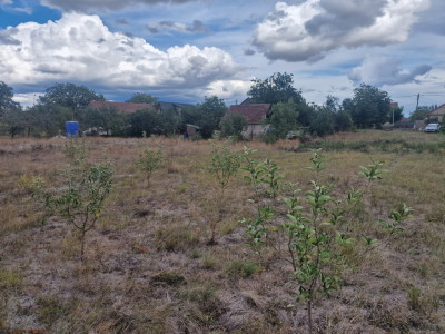 Teren intravilan de 1493 mp cu utilitati - Ianova imagine mica 4, foxfort.ro