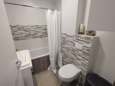 Apartament cu 2 camere de inchiriat - zona Soarelui imagine mica 11, foxfort.ro