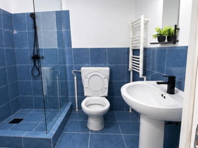 Apartament cu o camera, 18 mp, zona Lipovei imagine mica 5, foxfort.ro