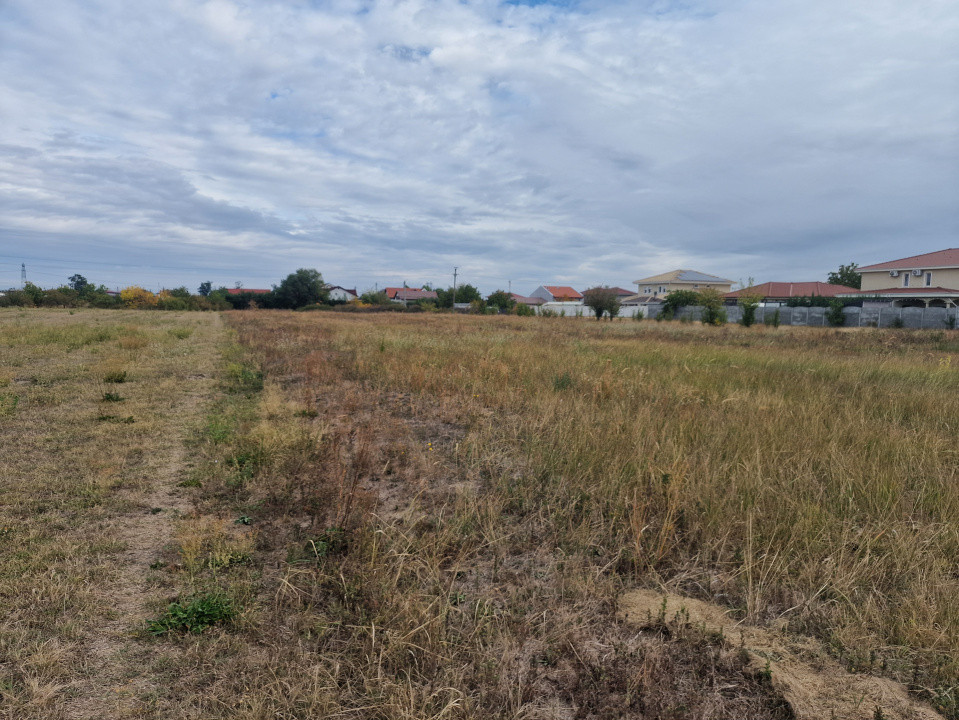 Teren intravilan de 521 mp de vanzare in Mosnita Noua 3, foxfort.ro
