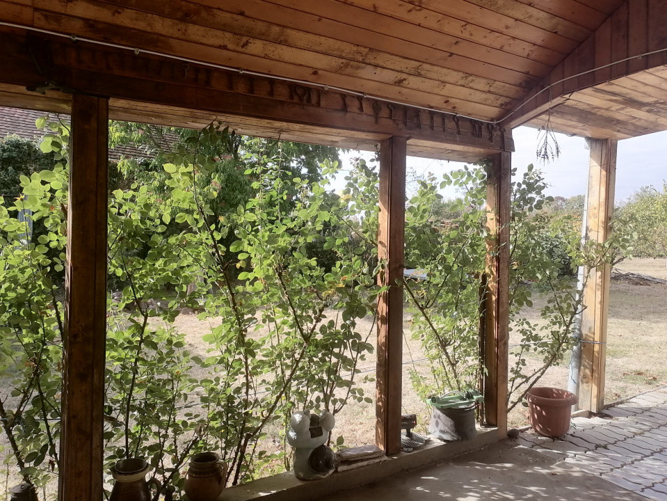 Casa svabeasca de vanzare in Charlottenburg | 4.316 mp teren | Livada pe rod 9, foxfort.ro