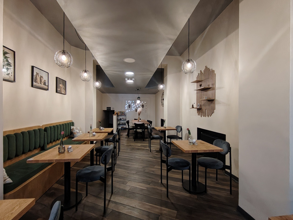 Spatiu Comercial 150 mp de inchiriat in Arad - C10563 13, foxfort.ro