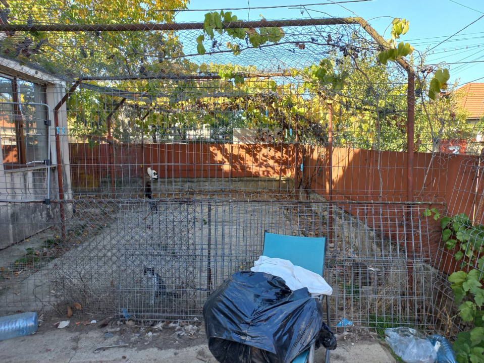 Casa individuala cu 4 camere si teren 486 mp | Timisoara - Plopi 2, foxfort.ro