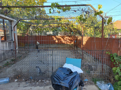 Casa individuala cu 4 camere si teren 486 mp | Timisoara - Plopi imagine mica 2, foxfort.ro