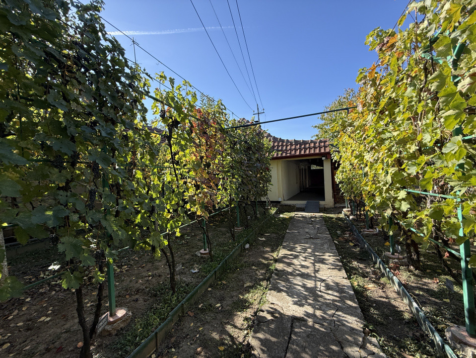 Casa individuala cu 4 camere | 124 mp | 430 mp teren | zona Plopi 34, foxfort.ro