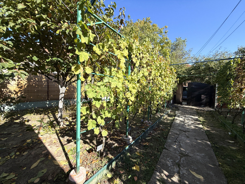 Casa individuala cu 4 camere | 124 mp | 430 mp teren | zona Plopi 37, foxfort.ro